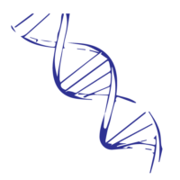Biologie moléculaire - Génétique